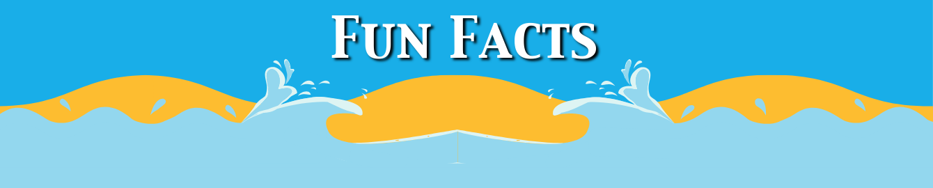 Fun Facts