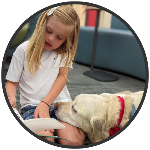 A young girl reading to a yellow lab in the library.