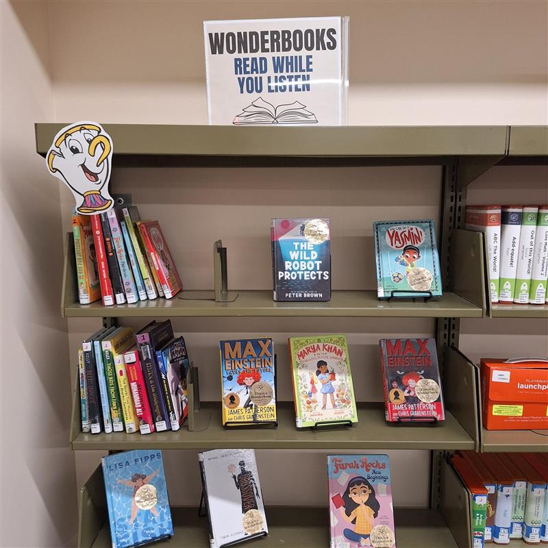 Library shelves with WonderBooks on them.